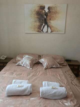 Проживание в семье Willa Muza Буско-Здруй Двухместный номер с 1 кроватью или 2 отдельными кроватями и собственной ванной комнатой-1